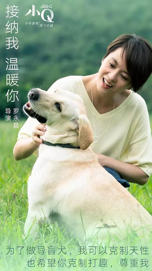 Technische Hochschule Bochum物理学文凭证书